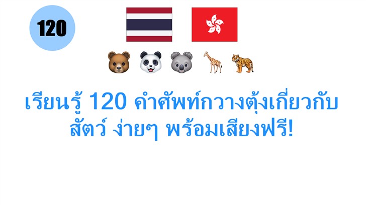 เรียนรู้ 120 คำศัพท์กวางตุ้งเกี่ยวกับสัตว์ ง่ายๆ พร้อมเสียงฟรี!